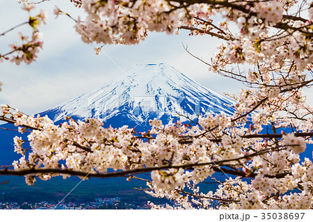 富士山 前景は桜 富士山 前景は桜 35038697