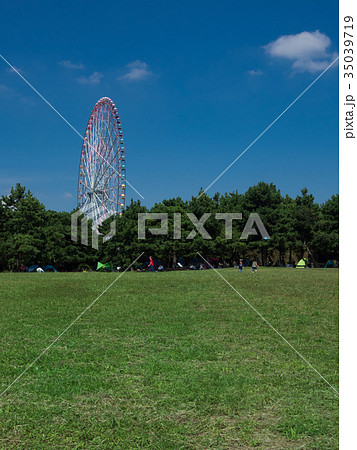 葛西臨海公園　観覧車と芝生 35039719