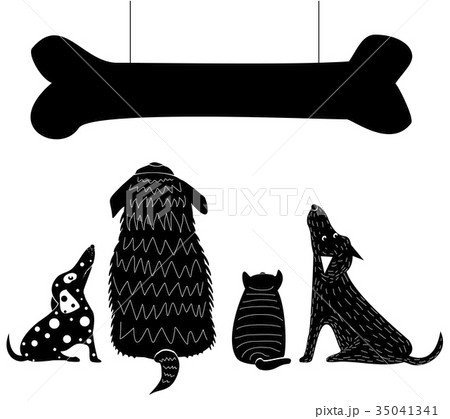 Funny dogs look at the bone 35041341
