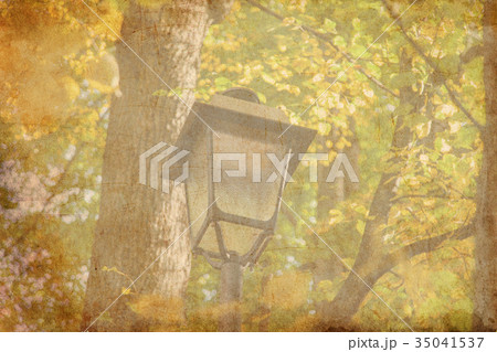 City light lamp near a trees. City light lamp near a trees. 35041537