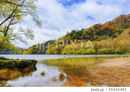 丸沼のアングラー 35043465