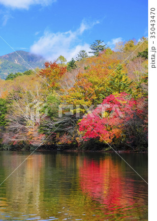 秋の湯ノ湖（縦） 35043470