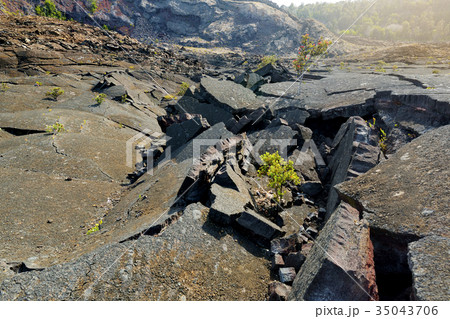 Stunning view of the Kilauea Iki volcano crater Stunning view of the Kilauea Iki volcano crater 35043706