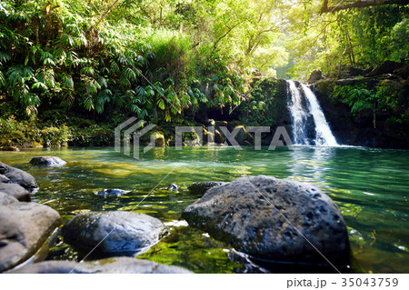 Tropical waterfall Lower Waikamoi Falls 35043759