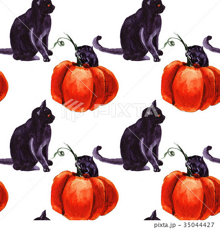 Set Of Cat Cartoon With Different Actions 35044427
