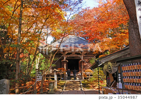 奥州平泉 中尊寺の紅葉 岩手県平泉町 奥州平泉 中尊寺の紅葉 岩手県平泉町 35044987