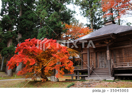 奥州平泉　中尊寺の紅葉　岩手県平泉町 35045003