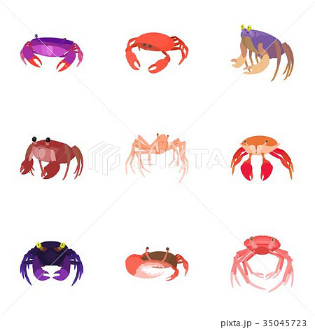 Types of crabs icons set, cartoon style 35045723