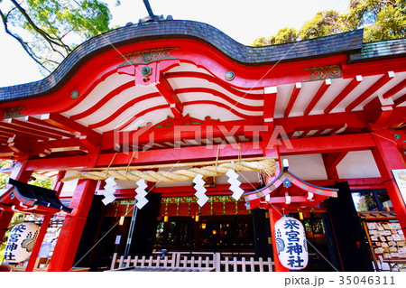来宮神社　本殿 （來宮神社）静岡県 熱海市 西山町 35046311