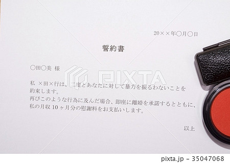 誓約書（DV） 35047068