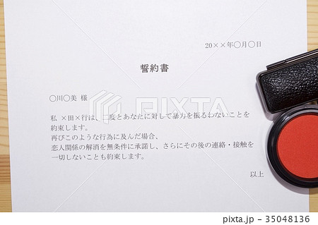 誓約書(恋人によるDV) 誓約書(恋人によるDV) 35048136