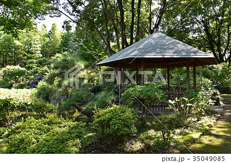 所沢航空記念公園 日本庭園の東屋の写真素材