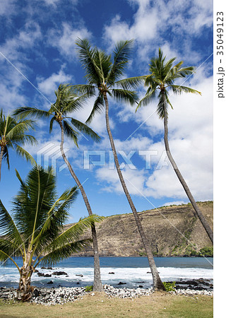 マニニビーチ、ビッグアイランド、ハワイ マニニビーチ、ビッグアイランド、ハワイ 35049123