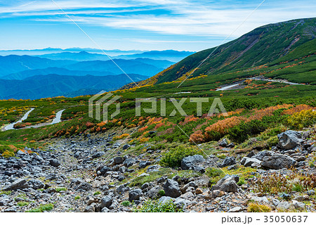 乗鞍エコーラインの紅葉⑥ 乗鞍エコーラインの紅葉⑥ 35050637