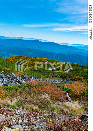 乗鞍エコーラインの紅葉⑦ 乗鞍エコーラインの紅葉⑦ 35050638