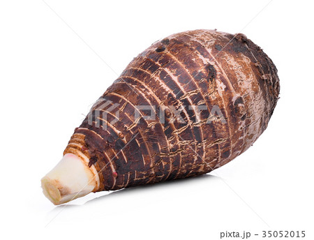 whole taro isolated on white background whole taro isolated on white background 35052015