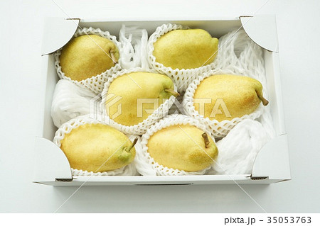 洋ナシ マルゲリットマリーラ 洋ナシ マルゲリットマリーラ 35053763