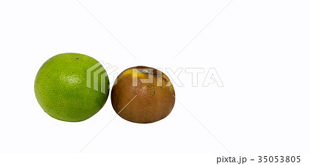 Lemon rot on isolated white background 35053805