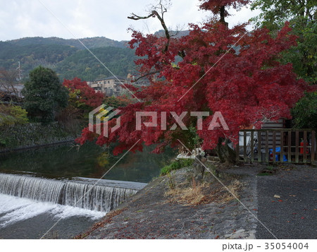 桂川_嵐山 35054004