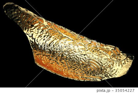 Melted gold or oil splashes isolated on black 35054227