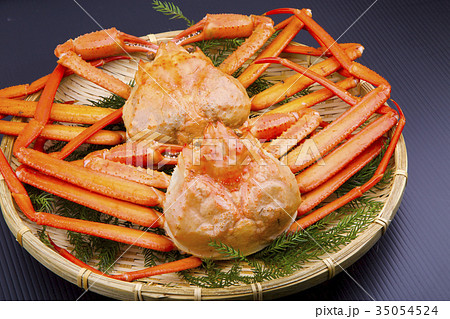 ベニズワイガニ 35054524