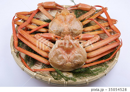 ベニズワイガニ 35054528