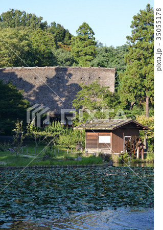 茅葺屋根の家 35055178