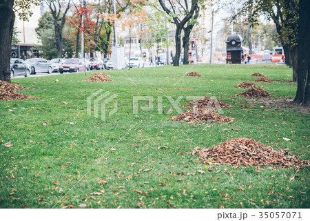 Autumn park with heaps of fallen leaves Autumn park with heaps of fallen leaves 35057071