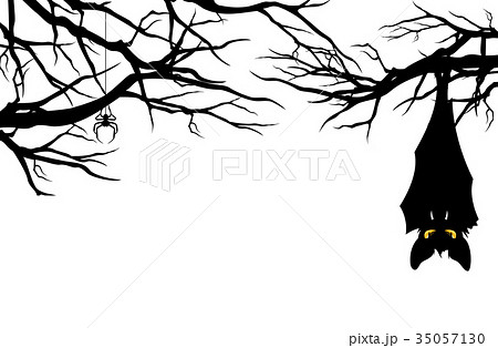 halloween  bat hanging among tree branches vector halloween  bat hanging among tree branches vector 35057130