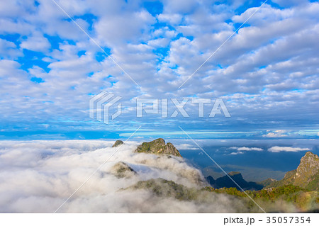 Morning Mist at High mountain in  Thailand 35057354