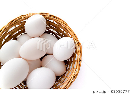 卵　玉子　タマゴ 35059777