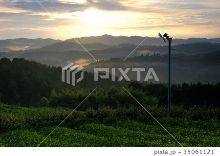 茶畑の夜明け（奈良県山添村） 35061121