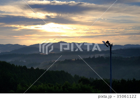 茶畑の夜明け(奈良県山添村) 茶畑の夜明け(奈良県山添村) 35061122