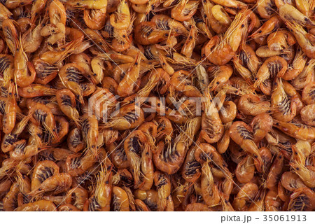 Shrimps background texture Shrimps background texture 35061913