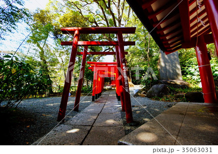 来宮神社 境内社 稲荷社 (來宮神社)静岡県 熱海市 西山町 来宮神社 境内社 稲荷社 (來宮神社)静岡県 熱海市 西山町 35063031