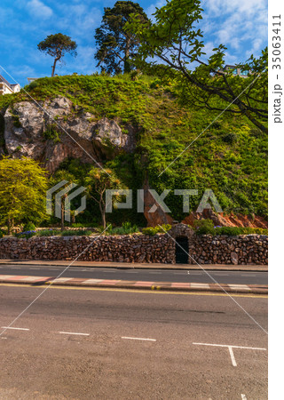 Beautiful exotic palm tree against the rock wall 35063411