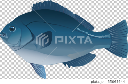 Medina Medina 35063644