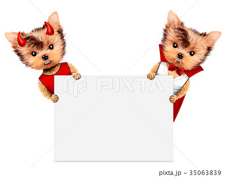 Funny Dracula and Devil. Halloween and Dead day 35063839