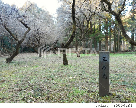 箕輪城跡　三の丸 35064231