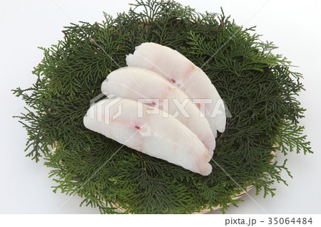 カラスカレイ 35064484