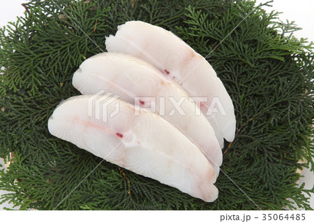 カラスカレイ 35064485