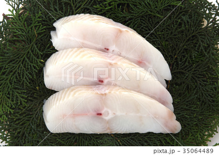 カラスカレイ 35064489