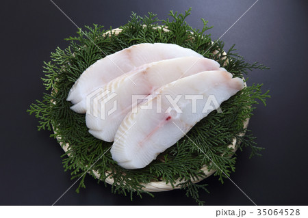 カラスカレイ 35064528