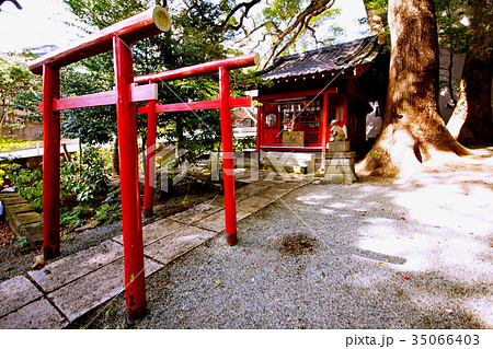 来宮神社 境内社 稲荷社 (來宮神社)静岡県 熱海市 西山町 来宮神社 境内社 稲荷社 (來宮神社)静岡県 熱海市 西山町 35066403