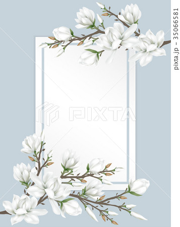 flower branches on paper 35066581