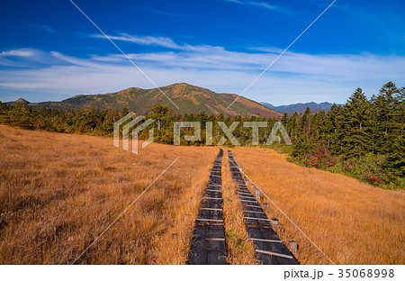 尾瀬 横田代の草紅葉と至仏山の写真素材