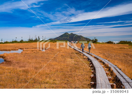 尾瀬　アヤメ平の草紅葉と燧ヶ岳 35069043