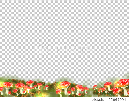 ベニテングタケ1 ベニテングタケ1 35069094