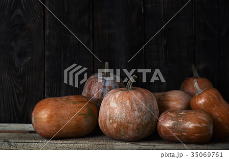Stack of pumpkins after harvesting 35069761