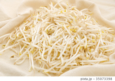 もやし もやし 35073398